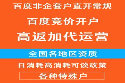 数据分析助力信息流广告：某品牌成功案例揭秘